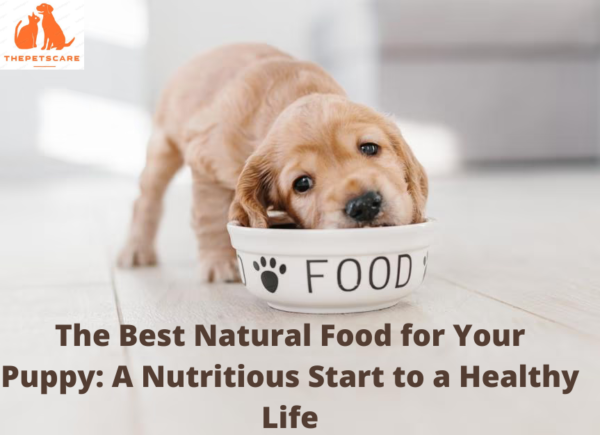 The Best Natural Food for Your Puppy: A Nutritious Start to a Healthy Life