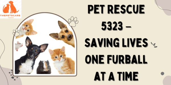 Pet Rescue 5323 – Saving Lives One Furball at A Time