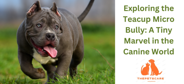 Exploring the Teacup Micro Bully: A Tiny Marvel in the Canine World