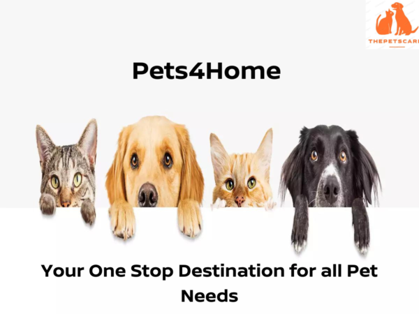 Pets4Home – Your One Stop Destination for all Pet Needs